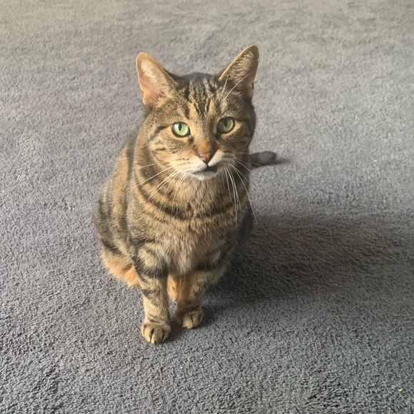 ❤️@mindyg71 💋Like to be Notified When I Go Live❤️❤️ - Picture 8 of 10